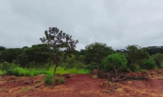 Imóvel 2707164 [''] - ['Rua Geraldo Marins de Camargos'] [''] - ['Guimarânia']/['MG'] - 1
