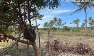 Imóvel 2279864 ['IDR184663'] - ["Rodovia Camilo Calazans de Magalhães (Estrada do Abais), s/n, Quadra 68, Lote 05, Loteamento Vila Rica do Abais, Itaporanga D'ajuda, SE, 49120-000"] [''] - ["Itaporanga D'Ajuda"]/['SE'] - 1