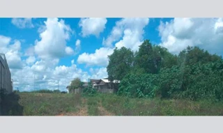 Imóvel 2995164 [''] - ['Avenida Colonizador José Bianchini, sn (Lote 04 da Quadra 182)'] [''] - ['Marcelândia']/['MT'] - 1