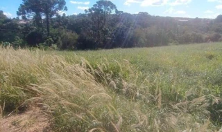 Imóvel 2596664 [''] - ['Nao informado Nao informado'] [''] - ['Tibagi']/['PR'] - 1