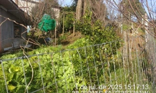 Imóvel 2506864 [''] - [''] [''] - ['Muliterno']/['RS'] - 1