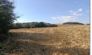 Imóvel 2857164 [''] - ['Lote de terras sob nº 7-B, destacado do lote nº 07, com a área de 200.000,00 m2, situado na gleba 9-1º parte da colônia Cantu'] [''] - ['Nova Cantu']/['PR'] - 1