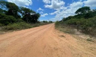 Imóvel 2879864 [''] - ['FAZENDA BAIA SÃO BENEDITO (antiga Baia das Pombas), localizado na margem esquerda do Rio Cuiabá'] [''] - ['Barão De Melgaço']/['MT'] - 1