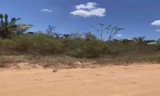 Imóvel 2879864 [''] - ['FAZENDA BAIA SÃO BENEDITO (antiga Baia das Pombas), localizado na margem esquerda do Rio Cuiabá'] [''] - ['Barão De Melgaço']/['MT'] - 1