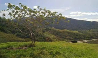 Imóvel 2600765 [''] - ['Lugar Denominado Ipiabas, às margens da Rod. BR 101'] [''] - ['Casimiro De Abreu']/['RJ'] - 1