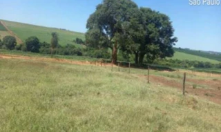 Imóvel 2976465 [''] - ['FAZENDA ESPERANÇA, PLATINA SP'] [''] - ['Platina']/['SP'] - 1