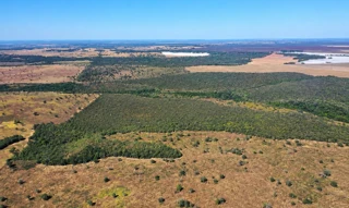 Imóvel 3027065 [''] - ['SÍTIO ITAPOÃ - ESTRADA DO PROJETO ITAQUERÊ, KM 50, S/N,'] [''] - ['Novo São Joaquim']/['MT'] - 1
