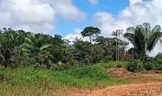 Imóvel 2509565 [''] - ['Estrada do Mamupina'] [''] - ['Fonte Boa']/['AM'] - 1