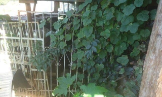 Imóvel 2653565 [''] - ['Data de terras sob no 18, da quadra no 07, com a area de 624,12 metros quadrados, situada no JARDIM PEROBAL'] ['Jardim Perobal'] - ['Londrina']/['PR'] - 1