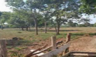 Imóvel 2716165 [''] - ['Fazenda Lorena, 34, Parte do lote 34, Loteamento Boa Esperança, Presidente Kennedy, TO, 77745-000, , Presidente Kennedy/TO'] [''] - ['Presidente Kennedy']/['TO'] - 1