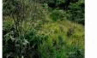 Imóvel 2629365 [''] - ['Distrito do Desemboque'] [''] - ['Sacramento']/['MG'] - 1