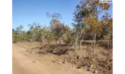 Imóvel rural em São Valério, , Fazenda Alto da Serra, Gleba 2, parte desmembrada da Fazenda São Vicente, lote 01, Lot. Lagoa Branca e Catingueiro, TO. Área: 117.26m2