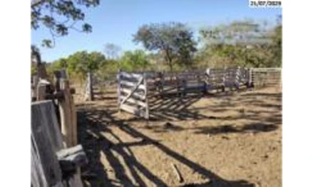 Imóvel rural em São Valério, , Fazenda Alto da Serra, Gleba 2, parte desmembrada da Fazenda São Vicente, lote 01, Lot. Lagoa Branca e Catingueiro, TO. Área: 117.26m2 - imagem 0