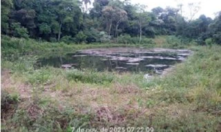 Imóvel 2690765 [''] - [', s/n - LOTE Nº155 DA 2ª SECÇÃO RIBEIRÃO BONITO - INTERIOR'] [''] - ['Lajeado do Bugre']/['RS'] - 1