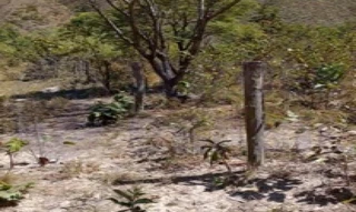 Imóvel 2988265 [''] - ['FAZENDA - Gleba de Terras com 499,8107 ha'] [''] - ['Pindorama Do Tocantins']/['TO'] - 1