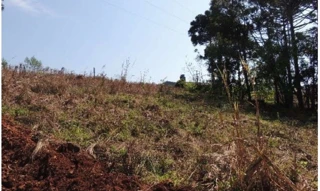 Imóvel 2922165 [''] - ['LOTE B 3'] [''] - ['Dois Lajeados']/['RS'] - 1