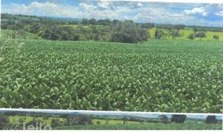 Imóvel 2717965 [''] - [''] [''] - ['Senador Canedo']/['GO'] - 1