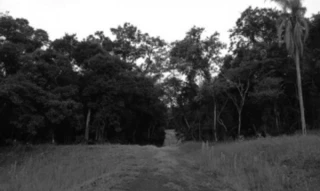 Imóvel 2646665 [''] - ['Km 4, BR-153, S/N, Cochinhos, Irati, PR, 84500-000, , Irati/PR'] [''] - ['Irati']/['PR'] - 1