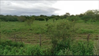 Imóvel 2673265 [''] - [''] [''] - ['Itaíba']/['PE'] - 1