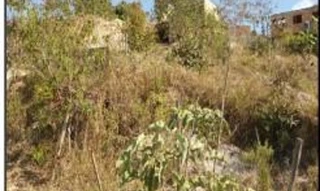 Imóvel 286065 ['1555528412021'] - ['RUA PARACAJU,N. SN QD 12 LT 12, DIAMANTINA - CEP: 35675-000, JUATUBA - MINAS GERAIS'] ['Serra Azul'] - ['Juatuba']/['MG'] - 1