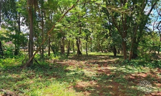 Imóvel 2868165 [''] - ['Av. Itumbiara, QD 15, LT 03, Vila Residencial de Itumbiara-GO'] [''] - ['Itumbiara']/['GO'] - 1