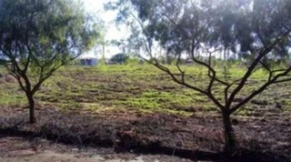 Imóvel 2870165 [''] - ['Rua Jovino Rossi, 247, lote 18, quadra 15'] [''] - ['Terra Roxa']/['PR'] - 1