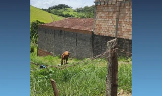 Imóvel 2937965 [''] - ['Zona rural, s/n, Berreiro, Consolação, MG, 37670-000'] [''] - ['Consolação']/['MG'] - 1