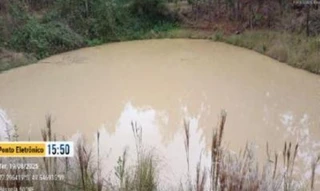 Imóvel 2536565 [''] - ['Linha Ribeirão Aurora, S/N, Bairro Área rural'] [''] - ['Aurora']/['SC'] - 1