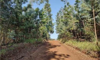Imóvel 2494665 [''] - ['Gleba Samambaia, Município de Guarapuava/PR'] [''] - ['Guarapuava']/['PR'] - 1