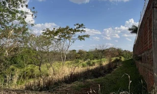 Imóvel 2469866 [''] - ['GLEBA RIBEIRÃO PINGUIM'] [''] - ['Maringá']/['PR'] - 1