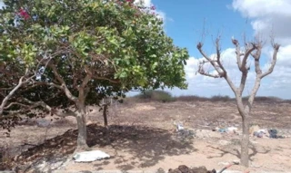 Imóvel 2510666 [''] - ['Rua Caranda- Lote 44 - Quadra 14 - Parque das Palmeiras'] [''] - ['Extremoz']/['RN'] - 1