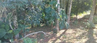 Imóvel 2717366 [''] - ['LOTE RURAL nº 41 (quarenta e um), da Gleba nº 12-PO (doze - PO), do Núcleo de Pérola D´Oeste, da Colônia Missões'] [''] - ["Pérola D'Oeste"]/['PR'] - 1