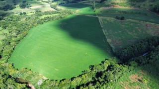 Imóvel 2709366 [''] - ['Distrito de Presidente Juscelino, s/n- LINHA FARROUPILHA'] [''] - ['São Lourenço do Oeste']/['SC'] - 1