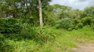 Imóvel 2980466 [''] - ['Av. Severino Tavares Uchoa - De 1 A 99998, SN'] [''] - ['Igarassu']/['PE'] - 1