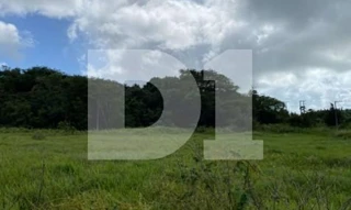 Imóvel 2512066 [''] - ['J5VC+H7, 253, Loteamento Tambaba Country Club Resort'] [''] - ['Pitimbu']/['PB'] - 1