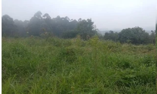 Imóvel 2958266 [''] - [', 1218 - LOTE 105, QUADRA F - Poente do Sol'] [''] - ['Concórdia']/['SC'] - 1