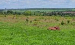 Imóvel 3023867 [''] - ['Fazenda Tangará 07 - Gleba 01'] [''] - ['São Francisco De Sales']/['MG'] - 1