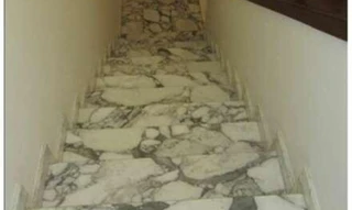 Imóvel 2661067 [''] - ['Rua Oliveira Pimentel, 337 - Jardim Paulista - São Paulo / SP'] ['Jardim Paulista'] - ['São Paulo']/['SP'] - 1