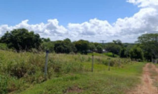Imóvel 2978667 [''] - ['Estrada Pontalzinho, na altura do Sítio São Judas no distrito de Rosana'] [''] - ['Teodoro Sampaio']/['SP'] - 1