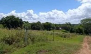 Imóvel 2978667 [''] - ['Estrada Pontalzinho, na altura do Sítio São Judas no distrito de Rosana'] [''] - ['Teodoro Sampaio']/['SP'] - 1