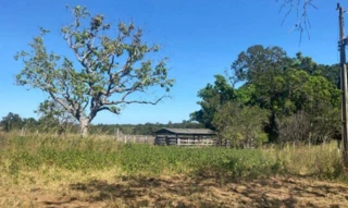Imóvel 2716167 [''] - ['Zona Rural, s/n, FAZENDA BARREIRO II - REMANESCENTE DO LOTE N° 19, DO LOTEAMENTO CONCEIÇÃO, 1ª ET, , Fátima/TO'] [''] - ['Fátima']/['TO'] - 1