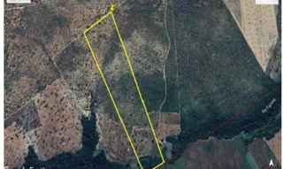 Imóvel 2491967 [''] - ['FAZENDA CABECEIRINHA II DATA SANTO ANTONIO, S/N, ZONA RURAL'] [''] - ['São Pedro Dos Crentes']/['MA'] - 1