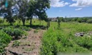 Imóvel 2624067 [''] - ['Córrego da Estiva'] [''] - ['São Mateus']/['ES'] - 1