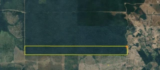 Imóvel 3048067 [''] - ['Fazenda São Francisco - Área Remanescente, situada na Gleba São João, Distrito de Guariba, zona rural do Município de Aripuanã'] [''] - ['Aripuanã']/['MT'] - 1