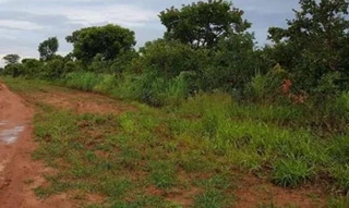 Imóvel 2709767 [''] - ['Fazenda Santa Bárbara do Piracanjuba, a 5,6 km da Rodovia GO 219 KM 30 à direita, Orizona-GO sentido Buritizinho'] ['Zona Rural'] - ['Orizona']/['GO'] - 1