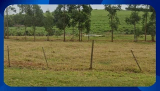 Imóvel 2633767 [''] - ['Lote de terreno, localizado em Rio Brilhante'] [''] - ['Rio Brilhante']/['MS'] - 1