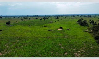 Imóvel 2920267 [''] - ['Lote 35, Gleba 02, Setor Xipingal, P.A./Aguinel Divino'] [''] - ["Alta Floresta D'Oeste"]/['RO'] - 1