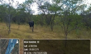 Imóvel 3080067 [''] - ['Nao informado Nao informado situado no lugar denominado Sitio Poco Grande'] [''] - ['Boa Viagem']/['CE'] - 1