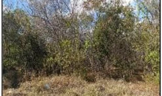 Imóvel 2605267 [''] - ['RUA 11, QD 23, LT 22, 0,'] [''] - ['Jaíba']/['MG'] - 1