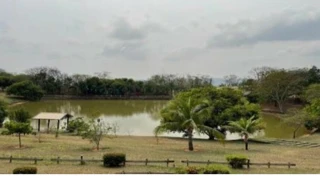 Imóvel 2913467 [''] - ['Alameda João de Barro, s/n - Lote 02, Quadra 01 - Residencial Portal da Serra - Marília / SP'] ['Residencial Vale Verde'] - ['Marília']/['SP'] - 1